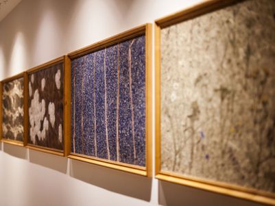 Alternative Waldgestaltung von Organoid